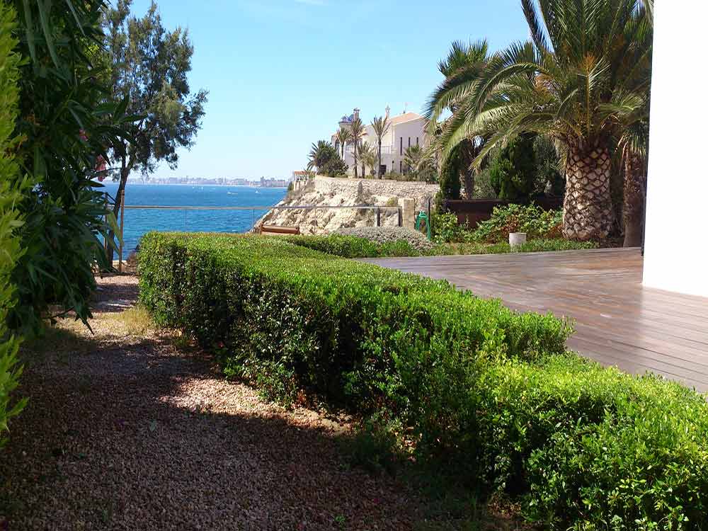 Jardín Litoral Sur, Coveta fumà, Alicante - (entreverde)