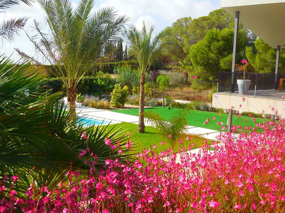 Jardín Subtropical en Elche, Alicante - (entreverde)